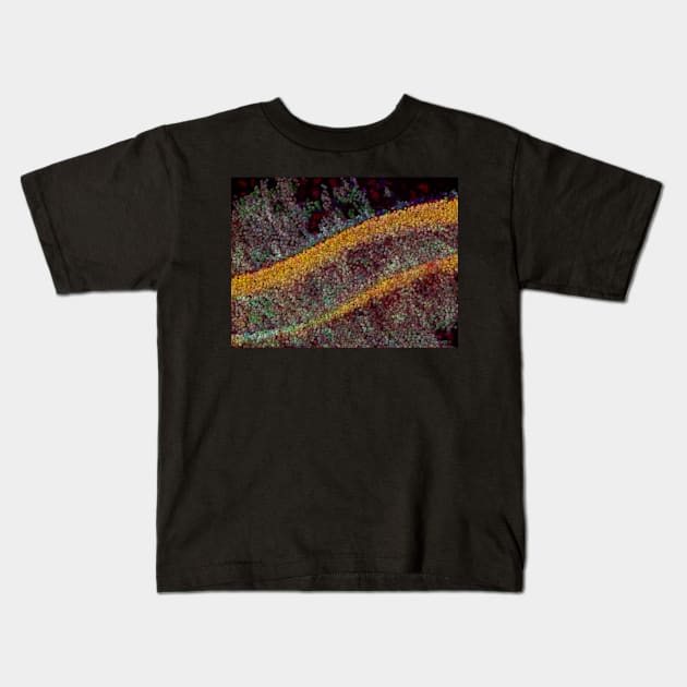 colourful beads rolling slowly down hill Kids T-Shirt by mister-john